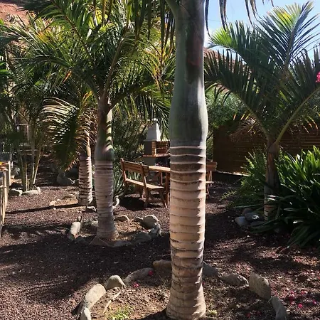 Apartament Jardines Del Cura