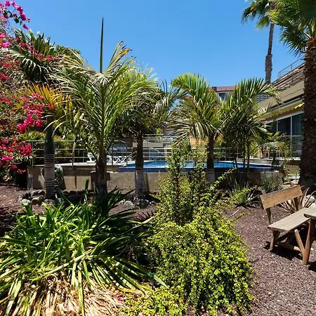 Los Jardines Del Cura * Playa Del Cura (Gran Canaria)